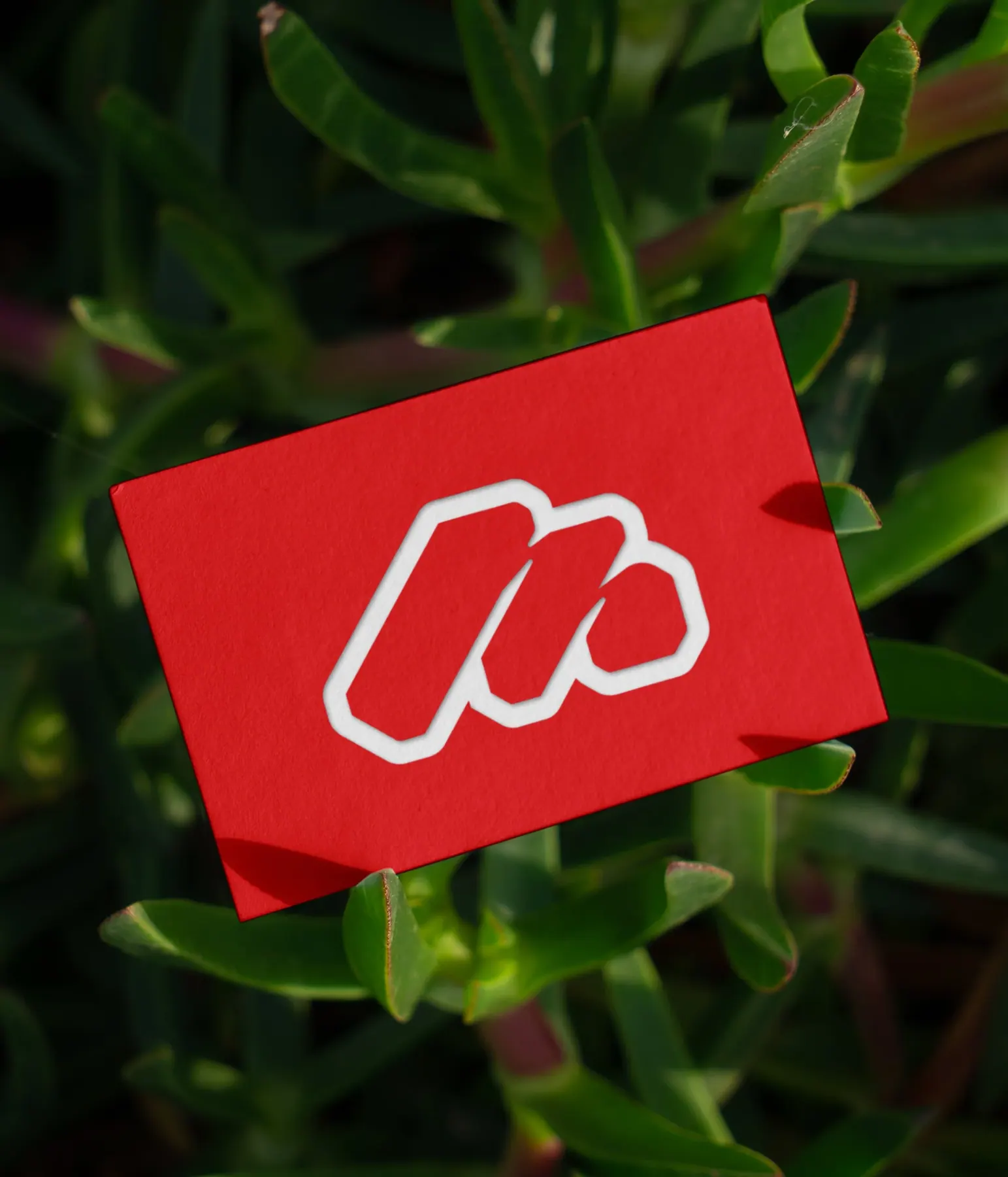 Branding and logo design